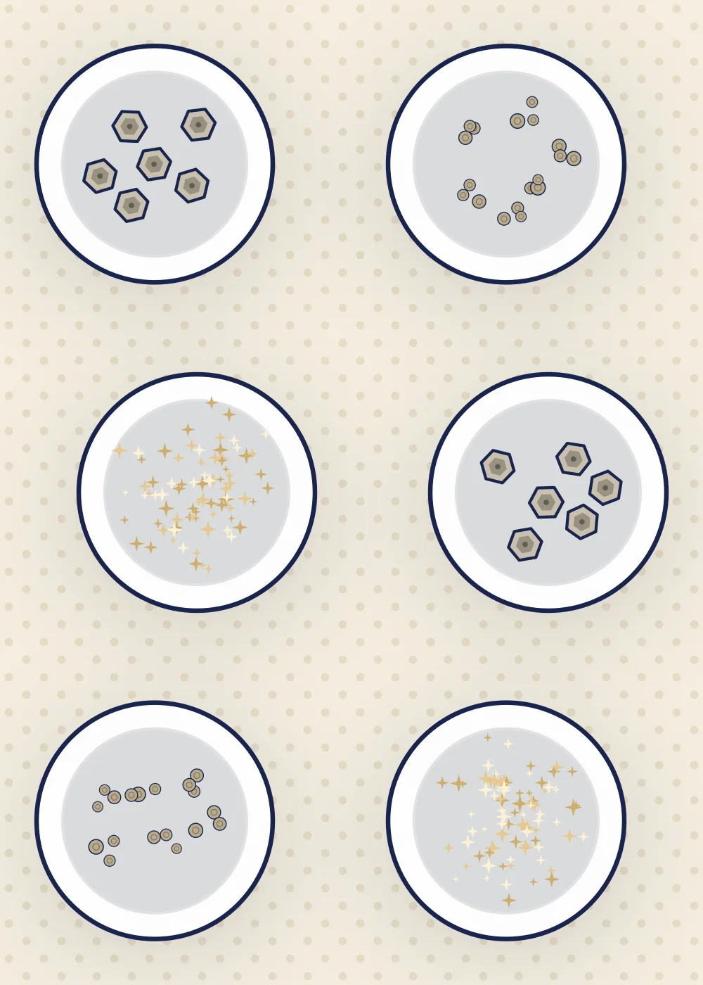 Petoskey Stone toppings, one dish each